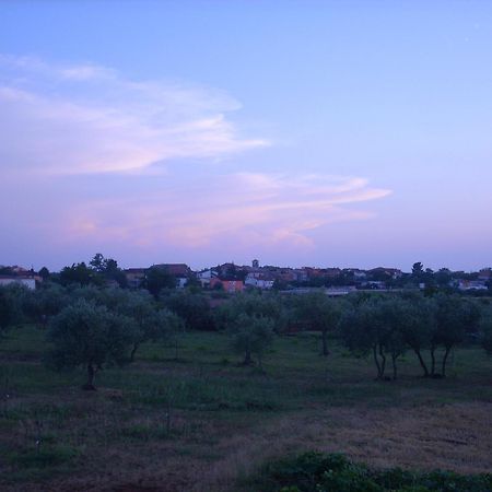 Apartments Zdravac Umag Dış mekan fotoğraf